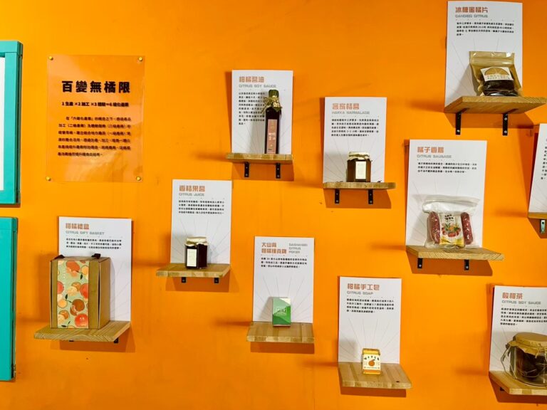 LINE_ALBUM_2025四健會青年創新領袖營 73 Day1_260204_6